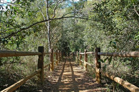 Top 10 Amazing Facts about Brasilia National Park - Discover Walks Blog