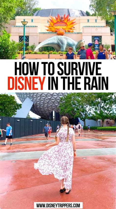 How To Survive Disney In The Rain Disney World Tips And Tricks