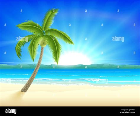 Paradise Island Bahamas Illustration Stock Vector Images Alamy