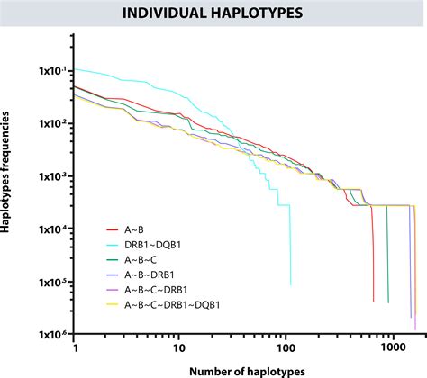 Frontiers Distributions Of The HLA A HLA B HLA C HLA DRB1 And HLA