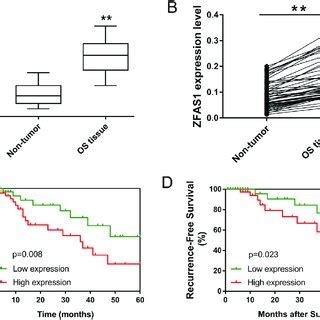 Lncrna Microarray Revealed The Expression Profiles In Osteosarcoma