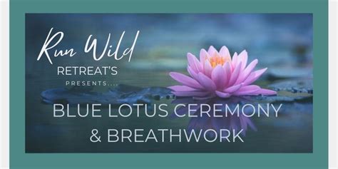 Blue Lotus Full Moon Ceremony And Breathwork Humanitix