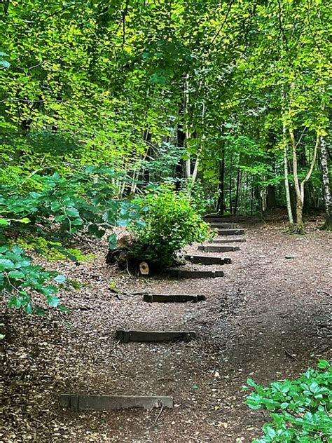 Stepped Path In Corbar Woods Graham Hogg Cc By Sa Geograph