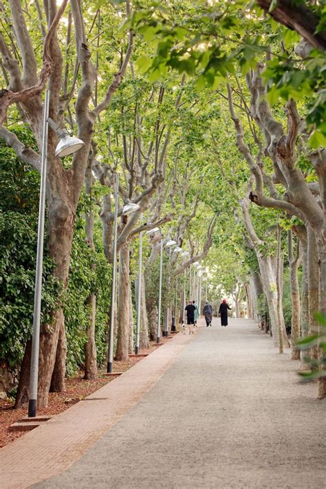 Boca De La Mina Promenade In Reus By Batlleiroig Arquitectura