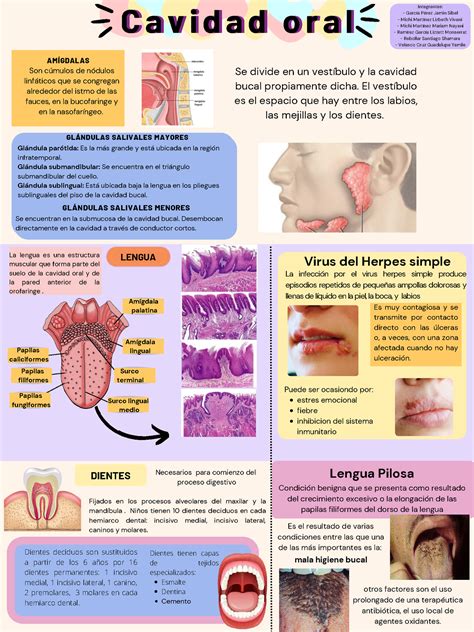 Infografia Grupo Infografia Cavidad Oral Oral Hot Sex Picture