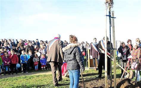 La Cit Un Arbre Plant Par Les Jeunes Lus Le T L Gramme