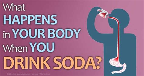 What Happens In Your Body When You Drink Soda Healthy Food Advice