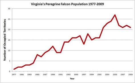 The Center for Conservation Biology 2009 peregrine falcon breeding season - The Center for ...