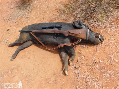 35 Whelen Rifle | AfricaHunting.com