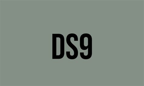 What Does Ds9 Mean? - Meaning, Uses and More - FluentSlang