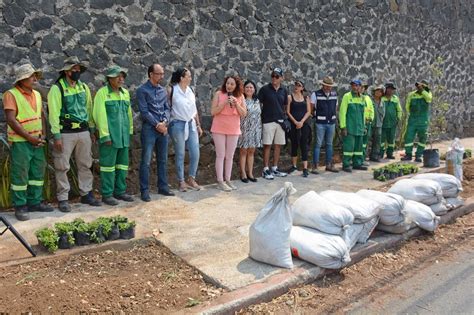 Pone en marcha ayuntamiento de Cuernavaca programa de reforestación