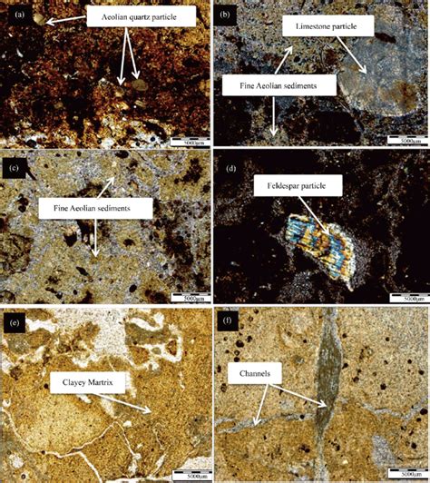 Thin Section Images From Different Parts Of The Core Sample1 Under