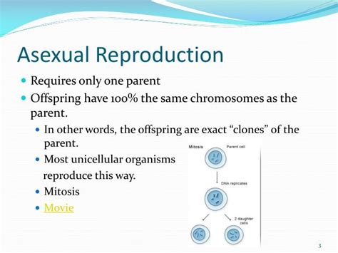 Ppt Asexual Vs Sexual Reproduction Powerpoint Presentation Id 1151381