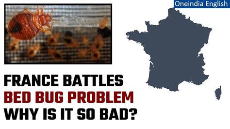 Paris ‘widespread Bed Bug Outbreak Takes Over Paris During Fashion