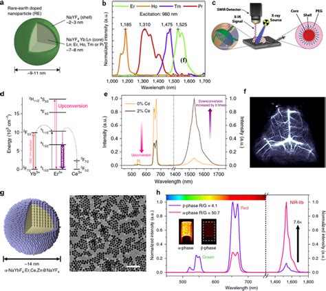 A Schematic Structure Of Lanthanidedoped NIRII Nanocrystal In NaYF4