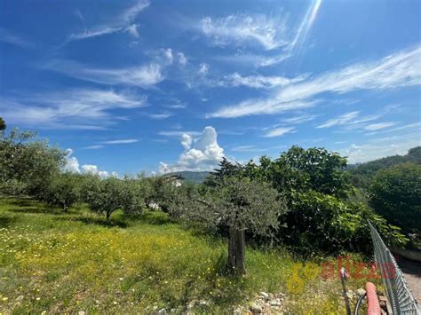 Terreno Edificabile Viale Orazio Antinori Corciano Rif 109323229