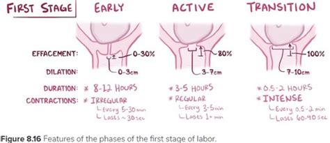 Intrapartum Assessments And Care Flashcards Quizlet