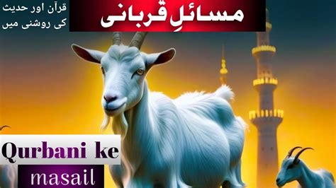 Qurbani Kis Par Wajib He Qurbani Ke Masail 📚 Quran Aur Hadees Ki