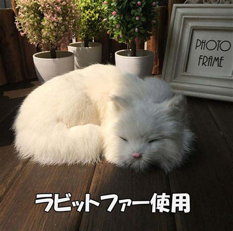 【楽天市場】【眠る猫のリアルぬいぐるみ】ねこ ネコ ラビットファー リアルファー 寝てる ペットロス 子猫 かわいい リアル 本物 直立