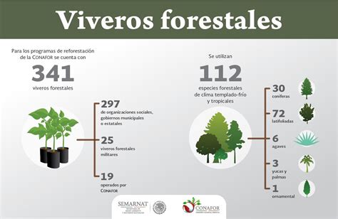 Infografia Viveros Forestales Media Carta 01 Pie Chart Vivarium