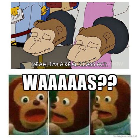 Shocked Monkey Meme