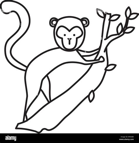 Funny Monkey Wild Character Vector Illustration Design Stock Vector