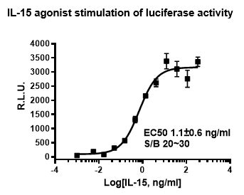 Il Responsive Luciferase Reporter Cell Line Bps Bioscience