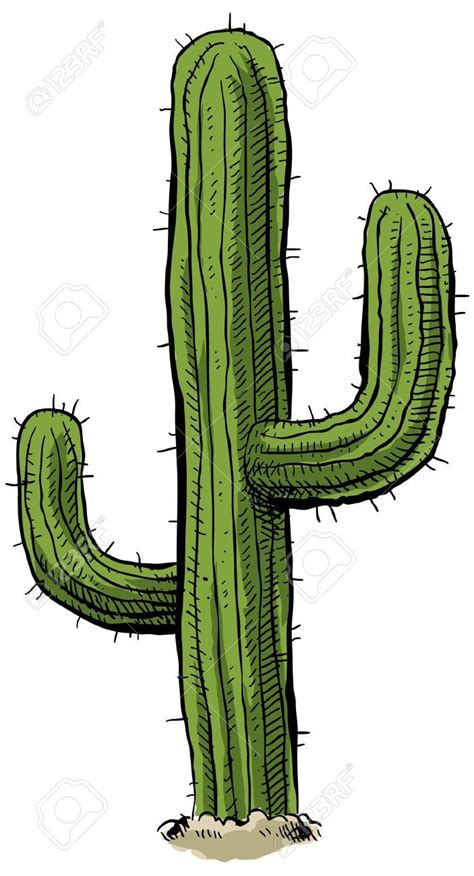 saguaro cactus - ThingLink | Cactus drawing, Cactus cartoon, Cactus