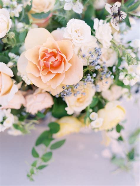 Peach Wedding Flowers - Elizabeth Anne Designs: The Wedding Blog