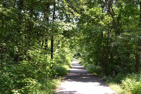 Staycation: John Heinz National Wildlife Refuge at Tinicum - WHYY