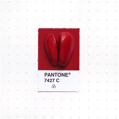 √ Blood Red Pantone