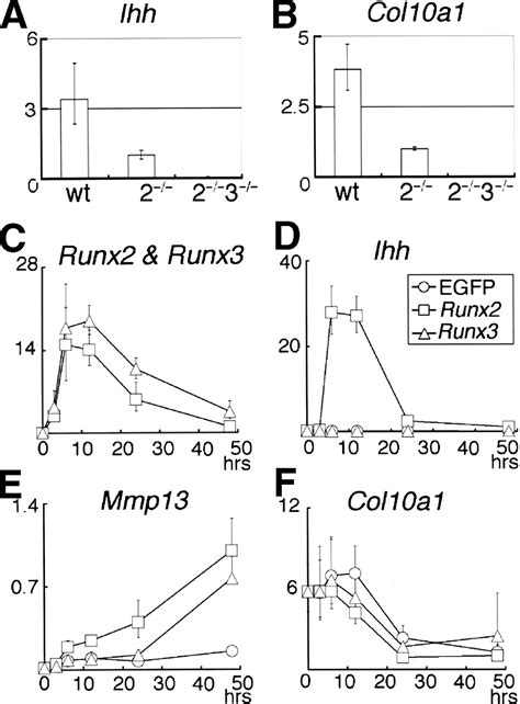 Runx2 And Runx3 Are Essential For Chondrocyte Maturation And Runx2 Regulates Limb Growth