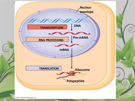 Protein sequencing