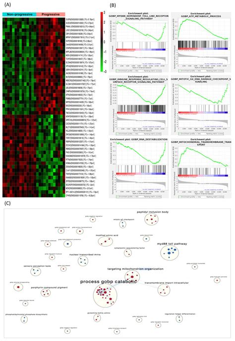 Degs In The Discovery Phase And Gene Set Enrichment Analysis A Heat