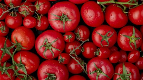 Tomate à Mesa é tema do fim de semana gastronómico de Moura Rádio