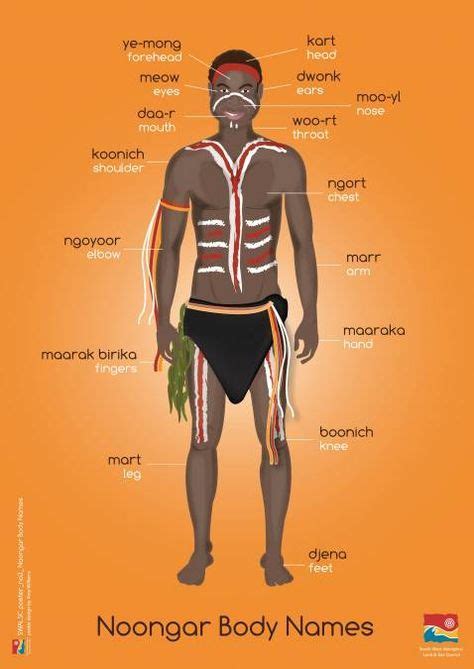 Noongar language poster. Courtesy SWALSC Aboriginal Art For Kids, Aboriginal Art Symbols ...