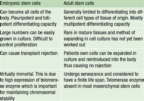 Embryonic Vs Adult Stem Cell Research Telegraph