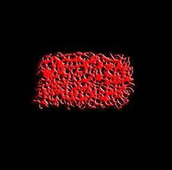 Massacre Anal Like A Kid Bengala Pepeka Massacre скачать бесплатно в mp3 музыкальный портал