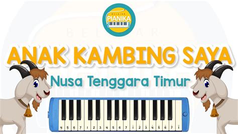 Not Pianika Anak Kambing Saya Nusa Tenggara Timur Belajar Pianika