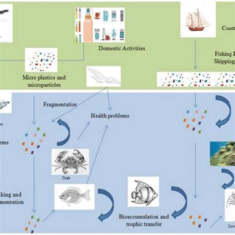 An Overall Representation Of The Environmental Fate Of Microplastics