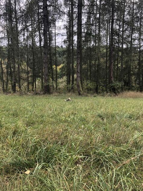 The Allie Rae Official Onlyfans Page Theallierae OnlyFans Nude And