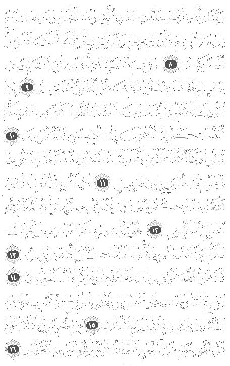 Surah Al Momin Makkah Sections Verses Ayyah