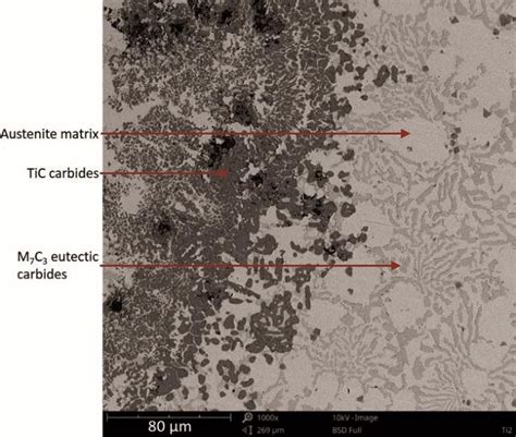 Micrograph Of Chromium White Cast Iron With The Addition Of Ti