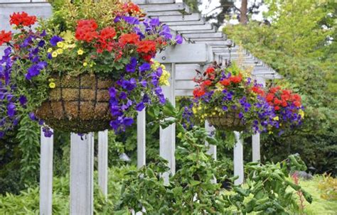 Qué es la floricultura