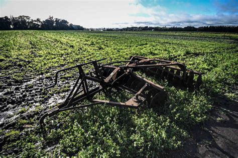 Mar Del Plata Fue Incluida En La Emergencia Agropecuaria Por Sequía