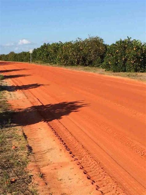 Scenic Drives In Florida Red Dirt Road In Citrus Groves Scenic Drive