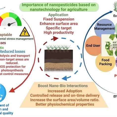 Agriculture Relevant Nano Fertilizers Based On Nanotechnology And Use