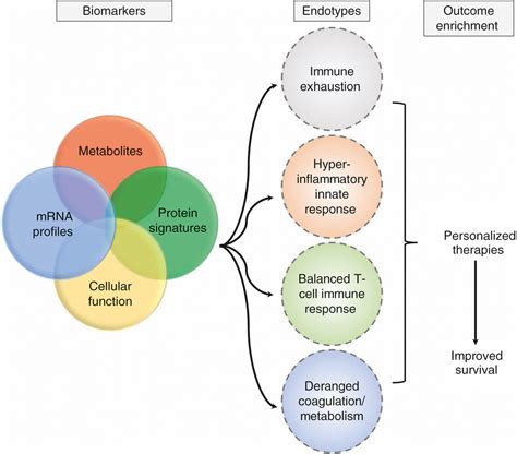 Heterogeneity In Sepsis New Biological Evidence With Clinical