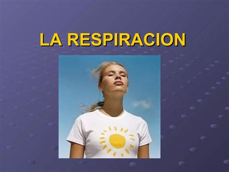 Signos Vitales Respiración Y Presión Arterial Ppt