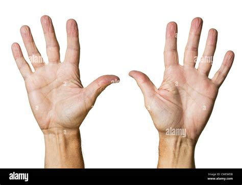 Hands Palms Isolated Against White Stock Photo Alamy